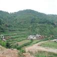 高梘槽村(雲南省昆明市五華區沙朗鄉下轄村) 高梘槽村(雲南省昆明市五華區沙朗鄉下轄村)