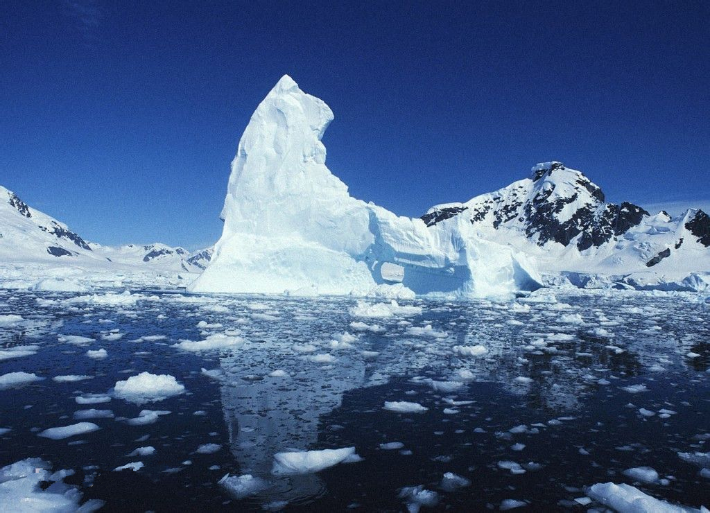 南極界