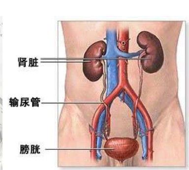 風厥 風厥