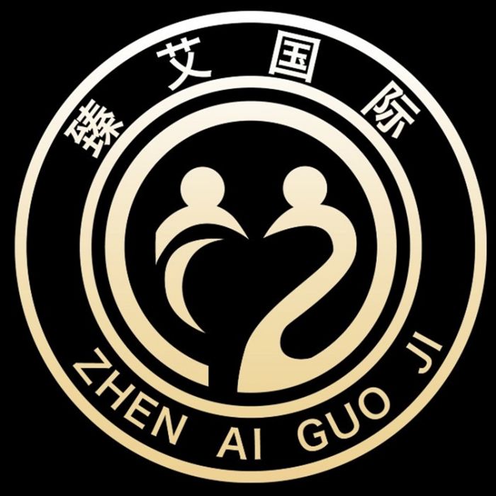 臻艾之歌 臻艾之歌