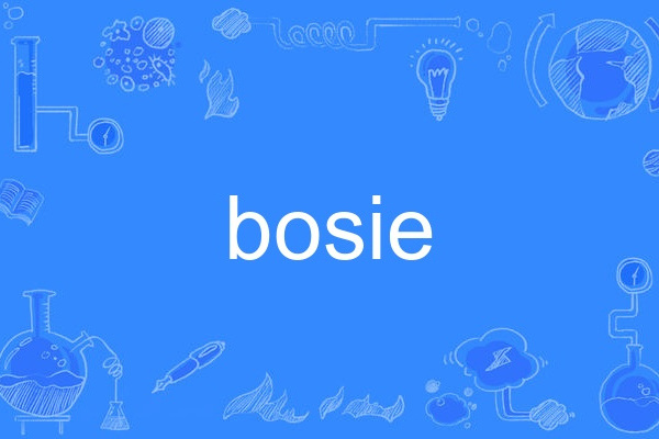 bosie(英語單詞) bosie(英語單詞)