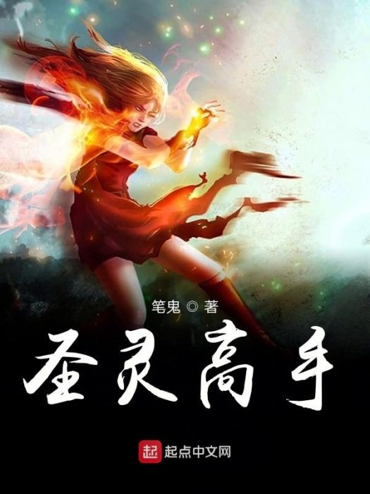 聖靈高手 聖靈高手