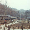 東元蒙口村 東元蒙口村