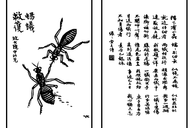 螞蟻救護 螞蟻救護