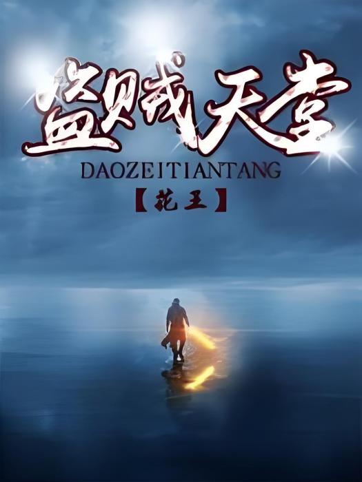盜賊天堂 盜賊天堂
