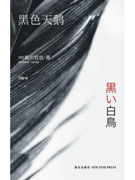 黑色天鵝 黑色天鵝