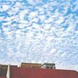 跑馬雲