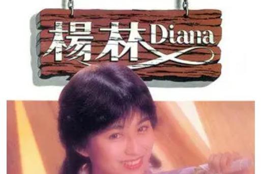 接觸(楊林《我是誰》專輯中的歌曲) 接觸(楊林《我是誰》專輯中的歌曲)