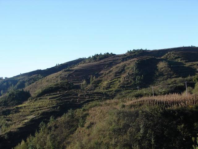 白營村(貴州省赫章縣朱明鄉白營村) 白營村(貴州省赫章縣朱明鄉白營村)