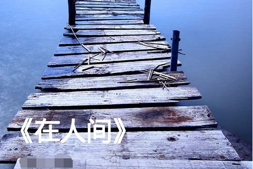 在人間(陳佳演唱歌曲) 在人間(陳佳演唱歌曲)