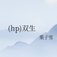 (hp)雙生 (hp)雙生