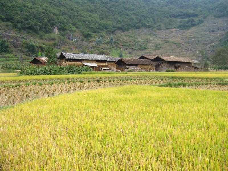 西基庫村 西基庫村