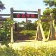 邱浚墓園