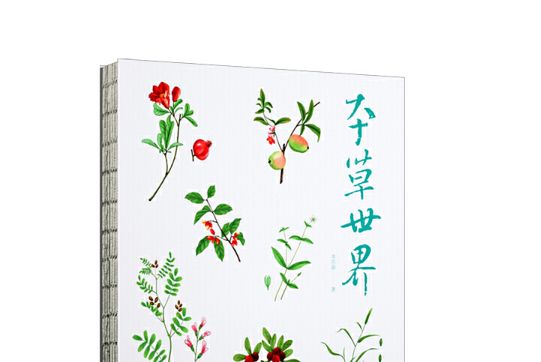 本草世界 本草世界