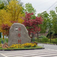 雙塔村(山西太原市迎澤區郝莊鎮雙塔村) 雙塔村(山西太原市迎澤區郝莊鎮雙塔村)