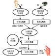 認知過程 認知過程