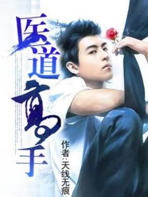 醫道高手(天線無痕所著小說) 醫道高手(天線無痕所著小說)
