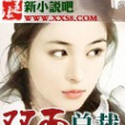 雙面總裁 雙面總裁