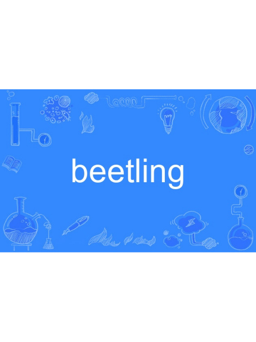 beetling beetling