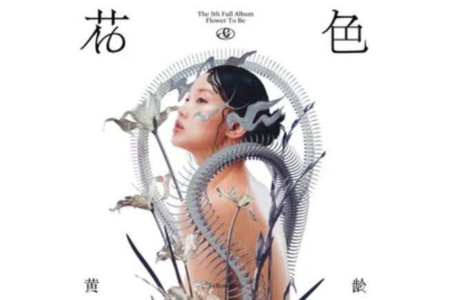 花色(黃齡演唱的歌曲) 花色(黃齡演唱的歌曲)