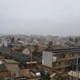 子君村