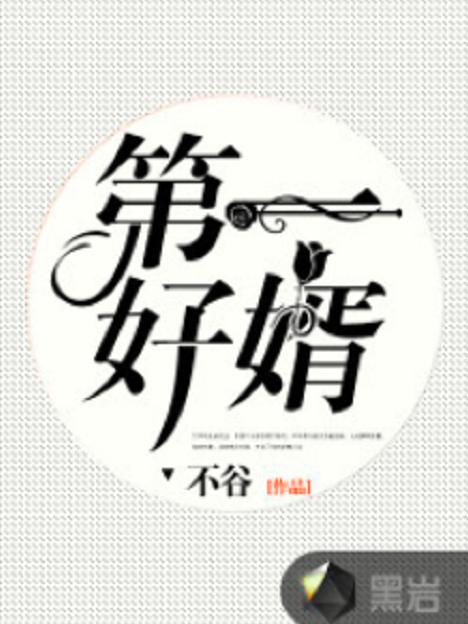 第一好婿 第一好婿