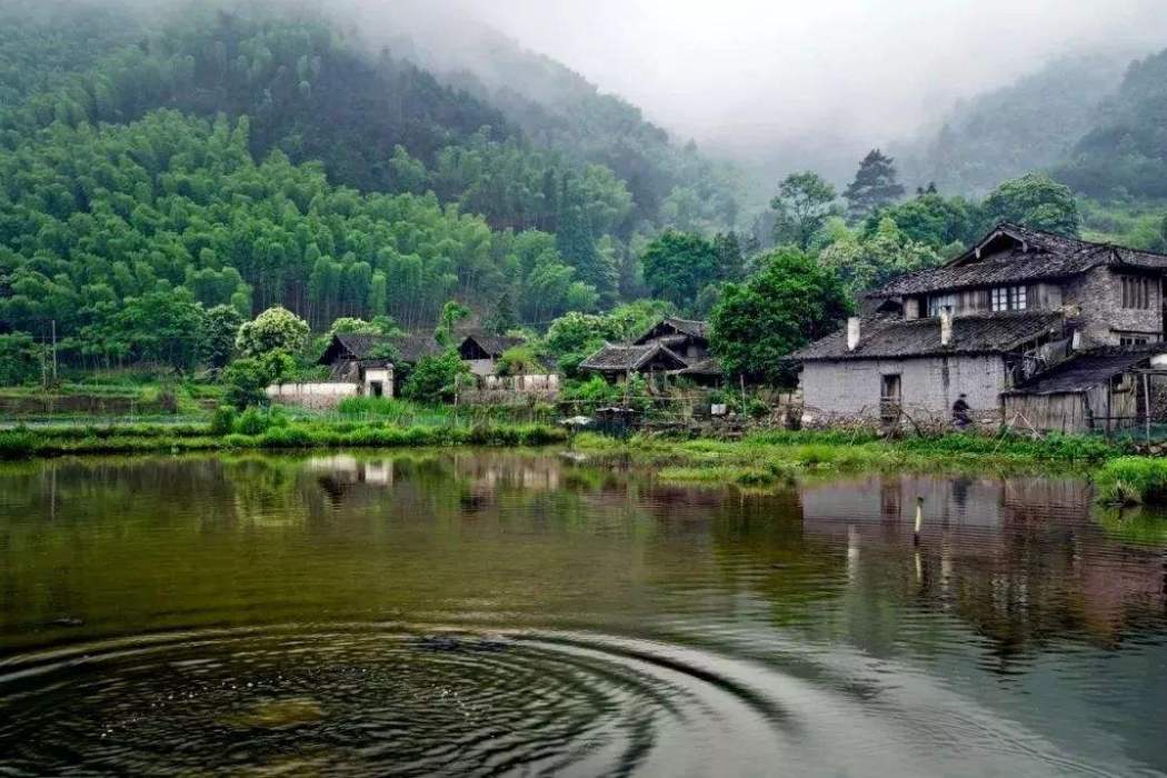 台邊村 台邊村