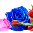 鮮花團 鮮花團