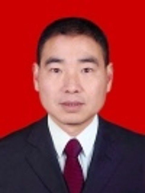 陶小虎 陶小虎
