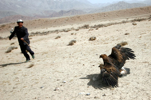 (6圖片)柯爾克孜族的養鷹人