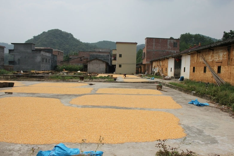 地堂 地堂