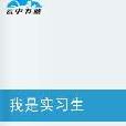 我是實習生(由曉葩創作的職場勵志小說) 我是實習生(由曉葩創作的職場勵志小說)