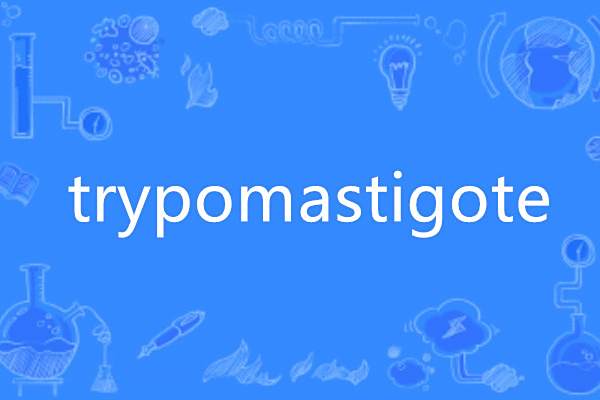 trypomastigote trypomastigote