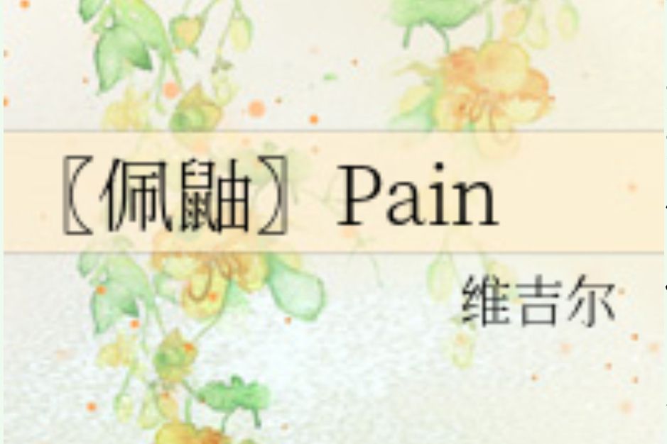 〖佩鼬〗Pain 〖佩鼬〗Pain