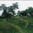 龍冢村 龍冢村
