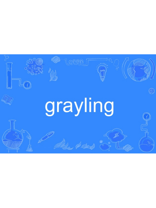 grayling grayling
