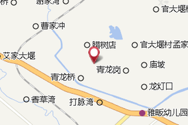 青龍九隊 青龍九隊