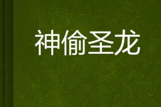 神偷聖龍 神偷聖龍
