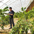 果園村(山西繁峙縣集義莊鄉下轄村) 果園村(山西繁峙縣集義莊鄉下轄村)