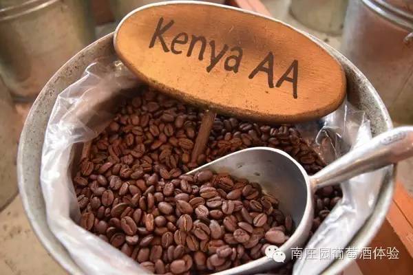 肯亞咖啡