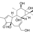 佛波酯 佛波酯