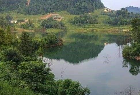 荷葉坪村(陝西省榆林市佳縣螅鎮下轄村) 荷葉坪村(陝西省榆林市佳縣螅鎮下轄村)