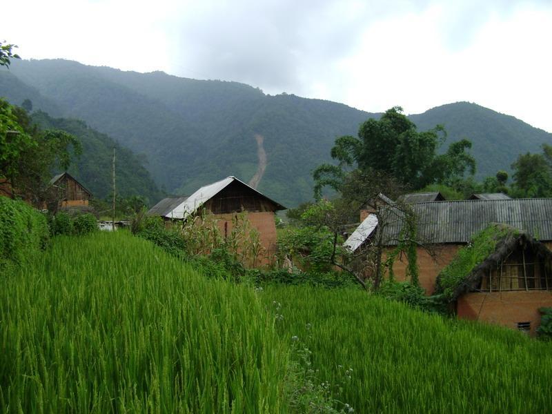 河頭下寨村 河頭下寨村