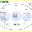 阿倫森效應