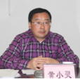 黃小靈(綿陽市公安局禁毒支隊政委)