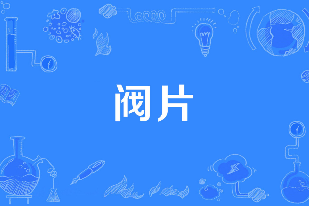 閥片