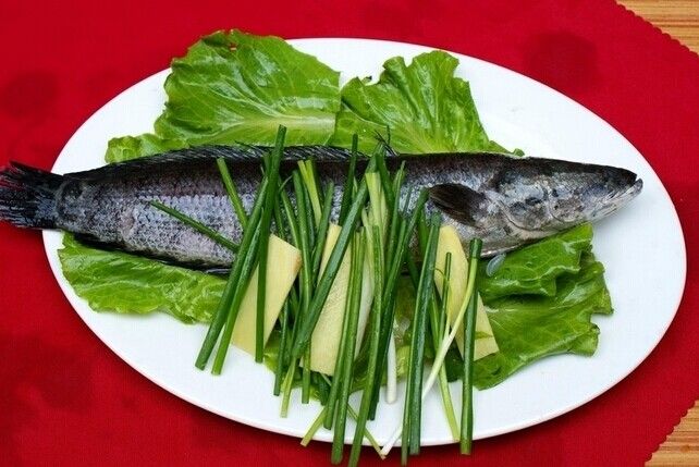 汕頭烏魚 汕頭烏魚