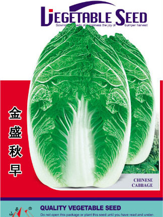 金盛秋早 金盛秋早