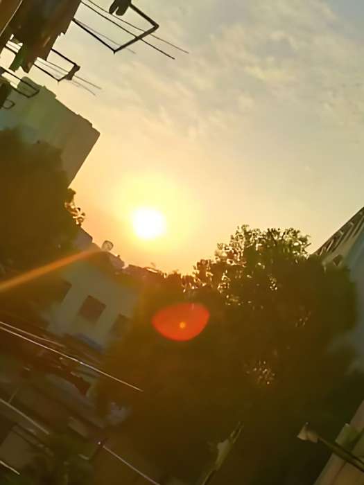 青竹長恨