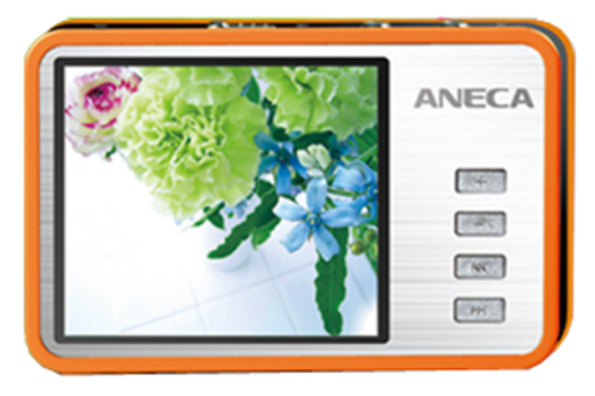 安耐克SF-890(1GB) 安耐克SF-890(1GB)